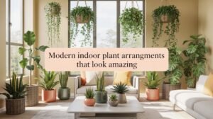 Modern Indoor Plant